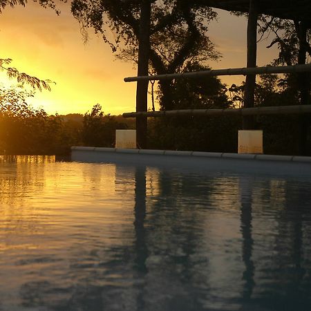 Raices Amambai Lodges Puerto Iguazu Ngoại thất bức ảnh